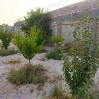 باغ/باغچه/چهار دیواری|فروش زمین و ملک کلنگی|تهران, اکباتان|دیوار