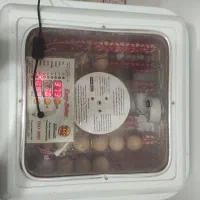 دستگاه جوجه کشی اسکندری