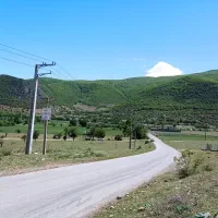 معاوضه زمین باغی تو شمال نوشهر با پاترول