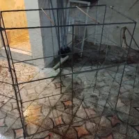 قفس  پرندگان درب دار|لوازم جانبی حیوانات|اندیمشک, |دیوار