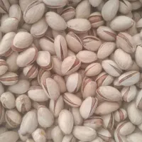 پسته حسن عباسی و احمدآقایی