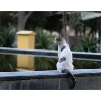 عکاس هستم|خدمات پذیرایی، مراسم|بندر ماهشهر, |دیوار