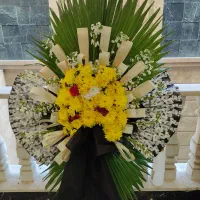 تاج گل|گل و گیاه طبیعی|تهران, جوادیه تهرانپارس|دیوار