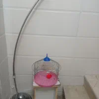 یک عدد پایه آباژور استیل سالم