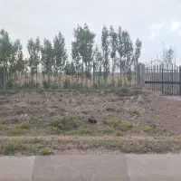 باغ در نوران