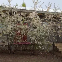 خانه به صورت ساعتی روزانه هفتگی