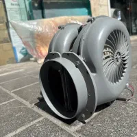 فن ماینر بوشی