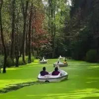 تور یکروزه رشت جنگل ومرداب سراوان