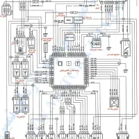دوره مالتی پلکس