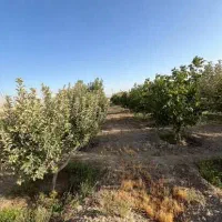 زمین شهرجرد نزدیک طرح هادی