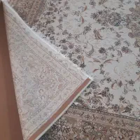 فرش ۱۲ متری|فرش|مشهد, فتح المبین|دیوار