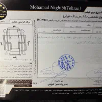 ساینا دوگانه کارخانه معاوضه