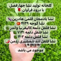 نشا3 گوجه گلخانه ای بادمجان قلم فلفل3تند|خدمات باغبانی و درختکاری|زابل, |دیوار