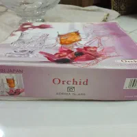 فنجان مارک orchid ژاپن