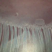 تابلو نقاشی علیرضا کریمپور|تابلو، نقاشی، عکس|شیراز, محمدیه|دیوار