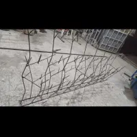 حفاظ های بوته ای و شاخ گوزنی co2|خدمات پیشه و مهارت|گلبهار, شهر جدید گلبهار|دیوار