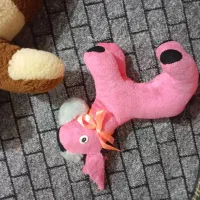 فروش عروسک بازی پولیشی و لباس کودک و کتاب|اسباب و اثاث بچه|قائم‌شهر, |دیوار