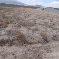 فروش زمین باغ اپارتمان صوفیان