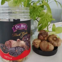 سیر سیاه دکتر بیز