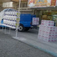 پخش تخم مرغ زرده طلایی کرج