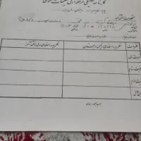 کارنامه قدیمی