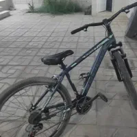 دوچرخه|دوچرخه، اسکیت، اسکوتر|طبس, |دیوار