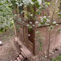 ویلایی-از-چوب-در-دل-یک-منطقه-گردشگری-زنده