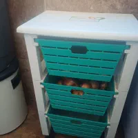 جا سیب زمینی وپیاز