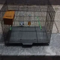 قفس و گلدون قلیون