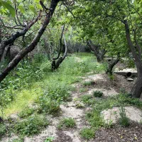 1100باغ-بکه-سند-قیمت-4دیواری-لوکیشن