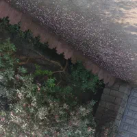 اجاره روزانه/هفتگی/ماهانه آپارتمان ۷۰ متری|اجارهٔ کوتاه‌مدت آپارتمان و سوئیت|آستارا, |دیوار