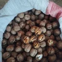 گردو درجه یک اورتکند با پوست سبز و پوست کنده