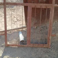 درب و پنجره منزل