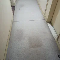 موکت پالاز