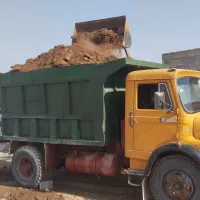 کوت گوسفند