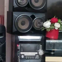 ظبط