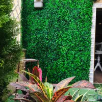 چمن مصنوعی|مصالح و تجهیزات ساختمان|تربت جام, جامی|دیوار