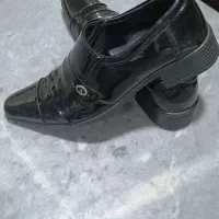 کفش ورنی|کیف، کفش، کمربند|مهاباد (آذربایجان غربی), |دیوار