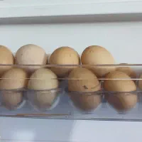 تخم مرغ محلی