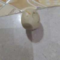 سنگ عتیقه|کلکسیون اشیاء عتیقه|حمیدیا, |دیوار