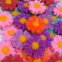 شمع بابونه|صنایع دستی و سایر لوازم تزئینی|شیراز, کوشک میدان|دیوار