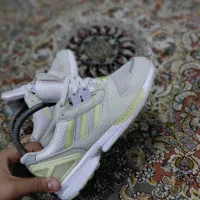 zxخت لیمویی با دلفینی