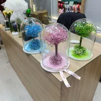 گل گیاه|گل و گیاه طبیعی|سبزوار, کاشفی شمالی (دادگستری)|دیوار