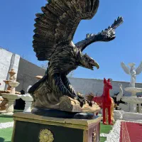 شیر اسب دلفین گوزن عقاب سگ