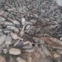 اگزوز کاتالیست وکاتالیزور خودرو زاهدان|قطعات یدکی و لوازم جانبی|زاهدان, |دیوار