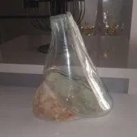 تنگ ماهی وگلدان