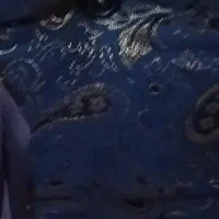 شیش تا پشتی