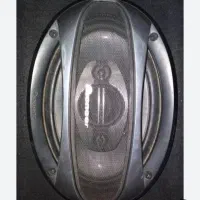 باند پایونر