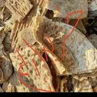نون خشک پرداخت درب منزل