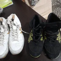 کتونی کشتی|کیف، کفش، کمربند|آستارا, |دیوار